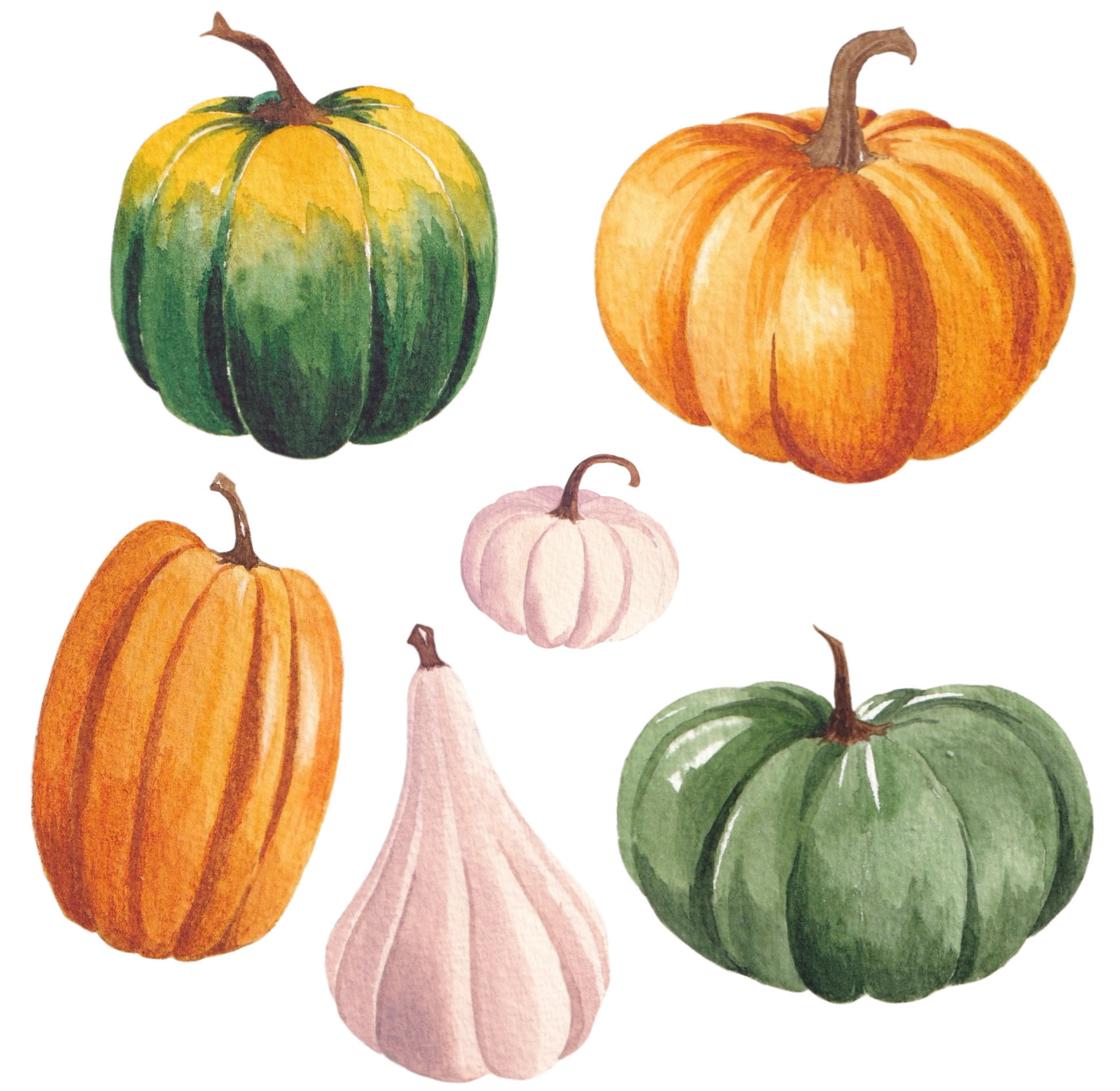 かぼちゃ水彩イラスト